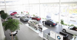 江门市合宝汽车销售服务 专业与品质并行的汽车销售典范